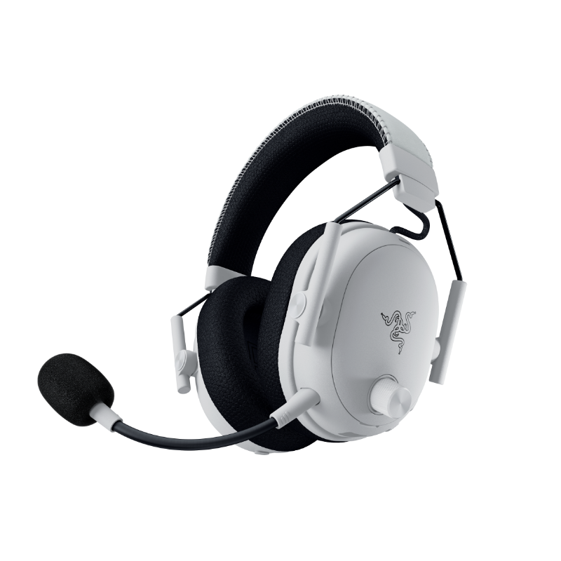 Razer Shop | For Gamers. By Gamers.